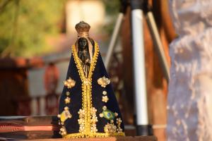 Sob a Proteção de Nossa Senhora Aparecida e o Ardor Missionário de São Vicente Pallotti