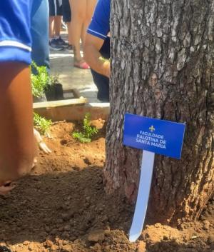 Instituições de Ensino Católico participam da Abertura da Campanha da Fraternidade